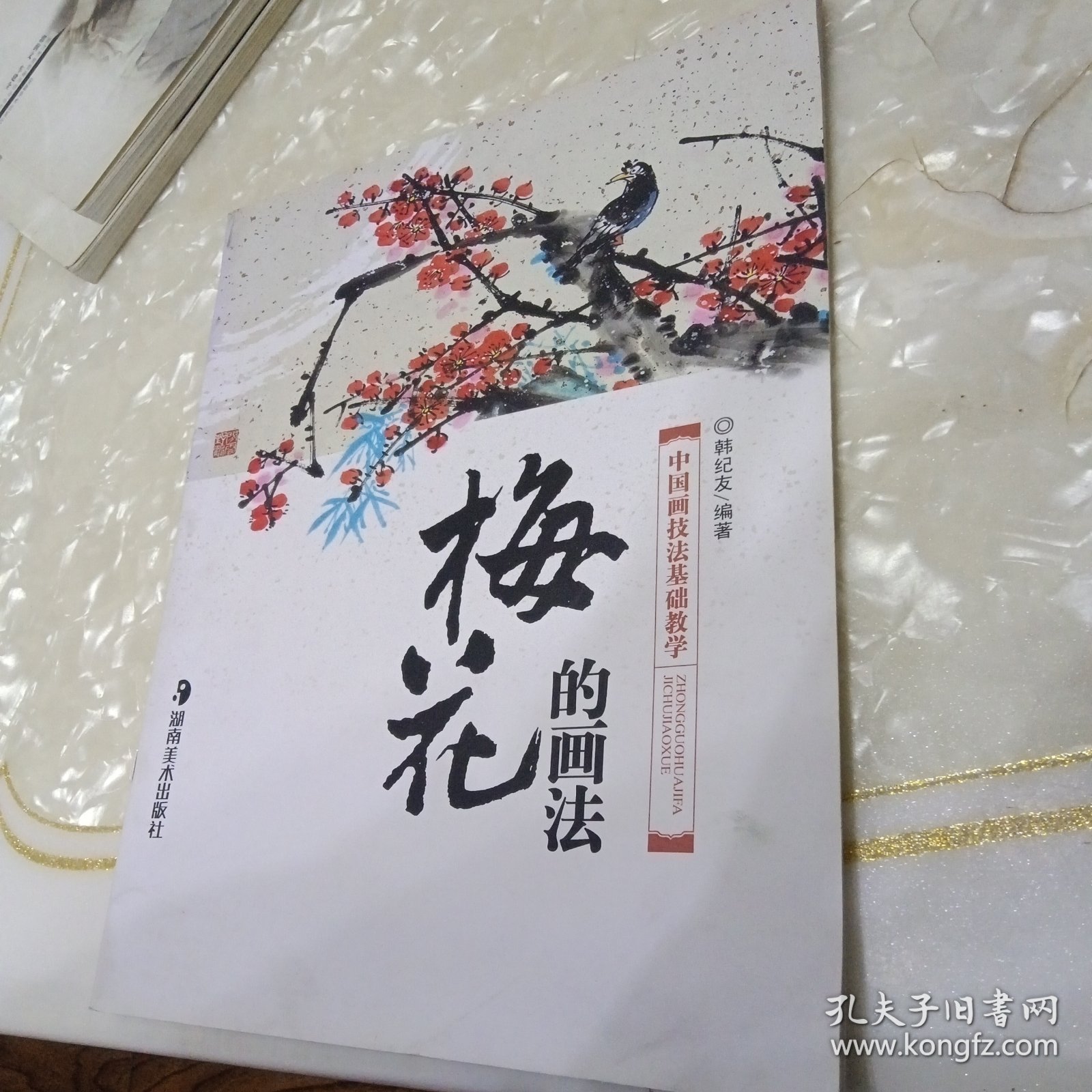 梅花的画法 中国画技法基础教学