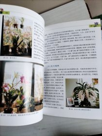 兰花：野外生境 栽培实例 鉴赏