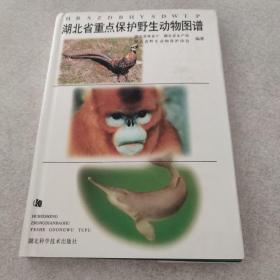 湖北省重点保护野生动物图谱（精装）