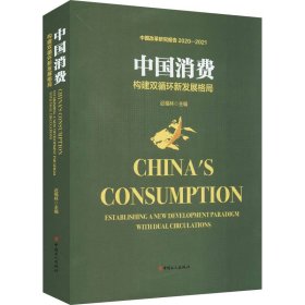 中国消费 构建双循环新发展格局【正版新书】