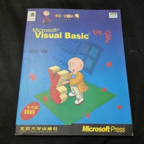 Visual Basic 神童