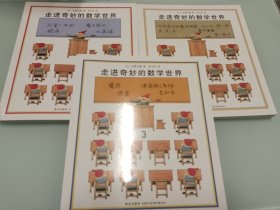 走进奇妙的数学世界（全3册）