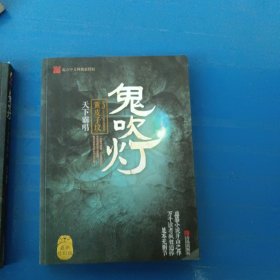 鬼吹灯5：黄皮子坟