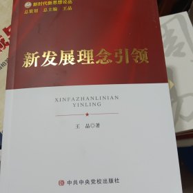 新发展理念引领