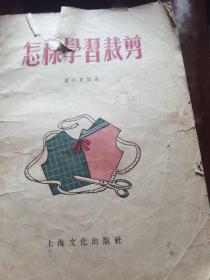 怎样学习裁剪