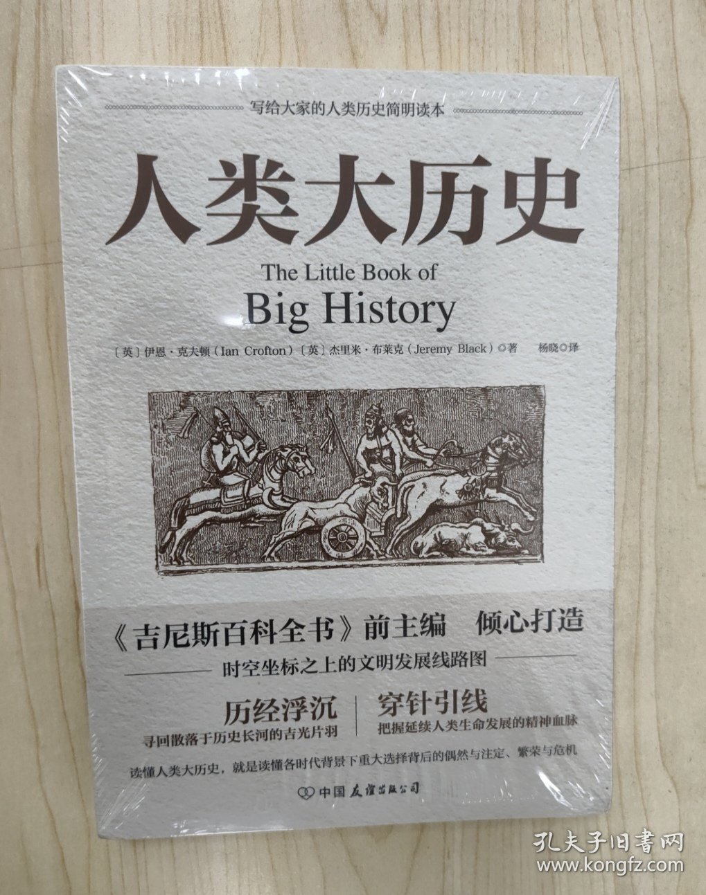 【正版新书】人类大历史：104个里程碑大事件串联百亿年万物历史，站在世界的高度追溯人类社会的荣耀与逆境，一本全球化视角的人类文明发展百科全书