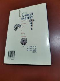 实用人体解剖彩色图谱（）
