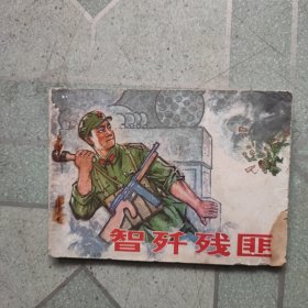 智歼残匪(连环画