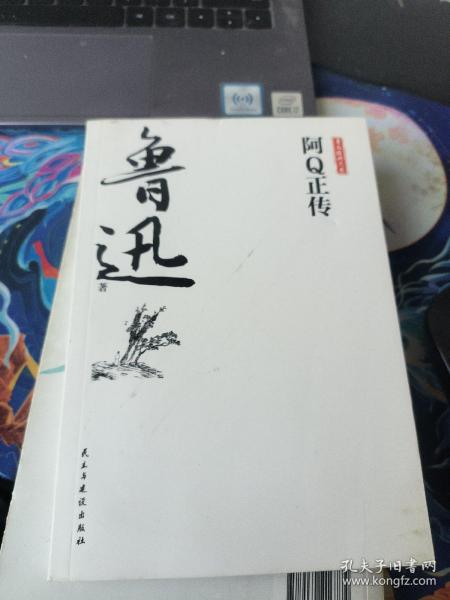 鲁迅经典文集全10册人民文学经典读本散文集杂文精选当代文学鲁文学经典小说