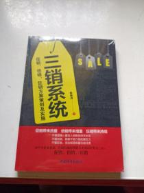 三销系统：促销、倍销、狂销方案策划及实施