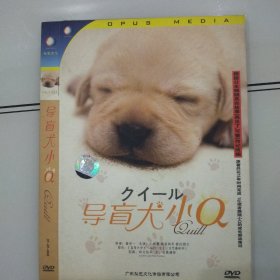 DVD 导盲犬小Q 简装1碟