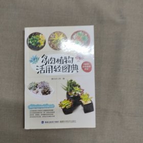 多肉植物活用轻图典