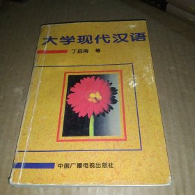 大学现代汉语