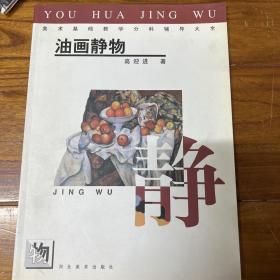 正版美术基础教学分科辅导大全油画静物