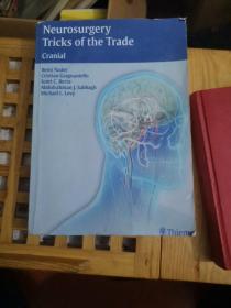 英文原版 Neurosurgery Tricks of the Trade - Spine and Peripheral Nerves: Spine and Peripheral Nerves