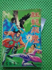 武侠类  狂龙飞鹰（下）