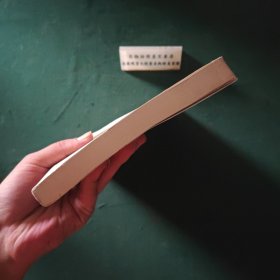 儿童与儿童发展第2版上册