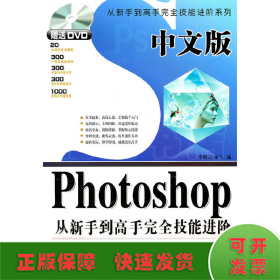 中文版Photoshop从新手到高手完全技能进阶