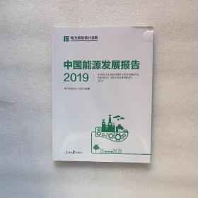 中国能源发展报告2019