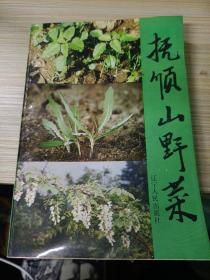 抚顺山野菜