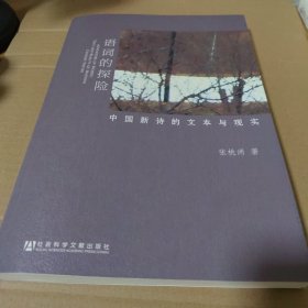 语词的探险：中国新诗的文本与现实