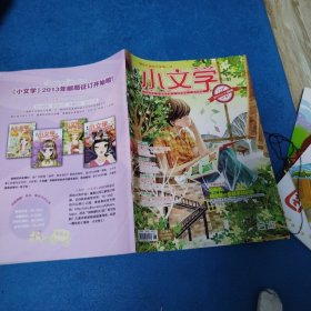 意林小文学杂志2013年3期（品佳）