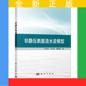 非静压表面流水波模型