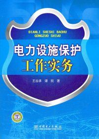 電力設(shè)施保護(hù)工作實(shí)務(wù)