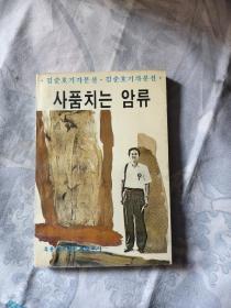 汹涌的暗流 朝鲜文 作者签赠本，印刷500册！36.9元包邮，