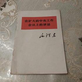 在扩大的中央工作会议上的讲话