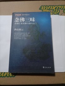 念佛三昧：迅速汇集诸佛功德的法门：高阶禅观系列