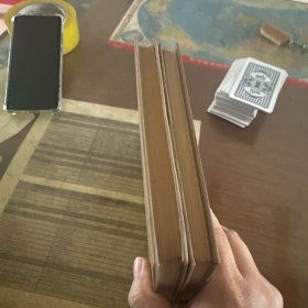 艺术赏鉴选珍三，五辑——画苑秘笈，绘事微言（影印抄本，精装初版初印）两册