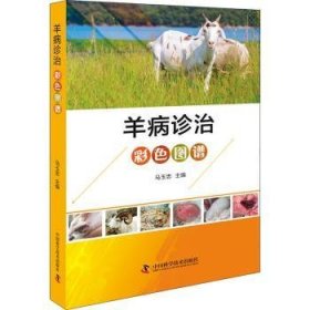 【正版新书】羊病诊治彩色图谱