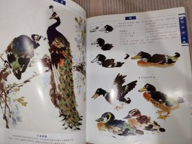 绘画教程：国画禽鸟