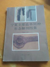 宁夏主要造林树种形态解剖图集