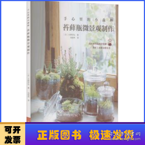 手心里的小森林：苔藓瓶微景观制作