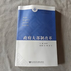 政府管理与改革研究系列丛书：政府大部制改革