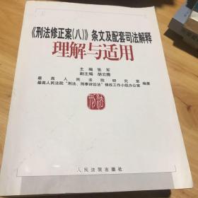 《刑法修正案（八）》条文及配套司法解释理解与适用