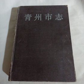 青州市志JDA628---精装16开8品，无书衣，89年1版1印