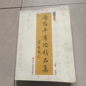 汤志平书法精品集