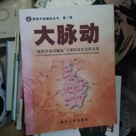 大脉动 “聚焦中部话崛起”大型跨省采访作品集