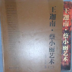 王迦南 蔡小丽艺术 （一、二）两册