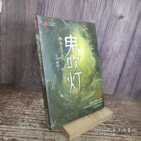 鬼吹灯5：黄皮子坟