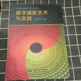 数字摄影艺术与实践/设计创新与实践应用“十三五”规划丛书.