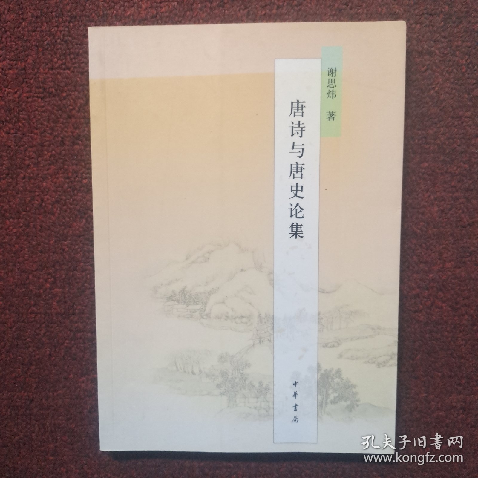 唐诗与唐史论集