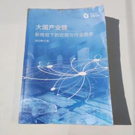 大国产业链 新格局下的宏观与行业趋势 2022年11月（看图下单）