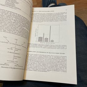 Arachidonic Acid Metabolism in the Nervous System