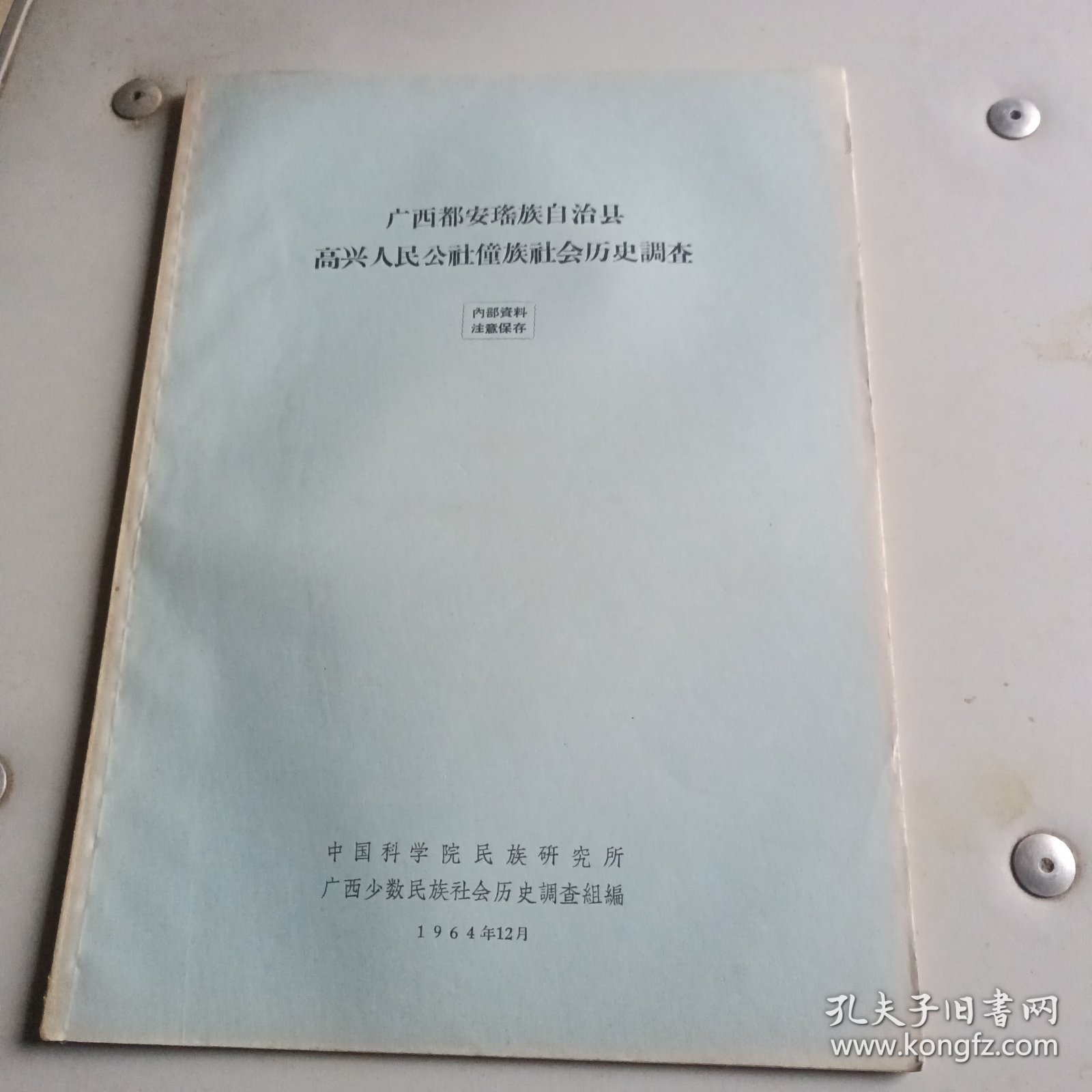 广西都安瑶族自治县高兴人民公社同族社会历史调查