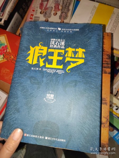 动物小说大王沈石溪经典作品·荣誉珍藏版：狼王梦