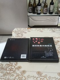 磁控胶囊内镜图谱、